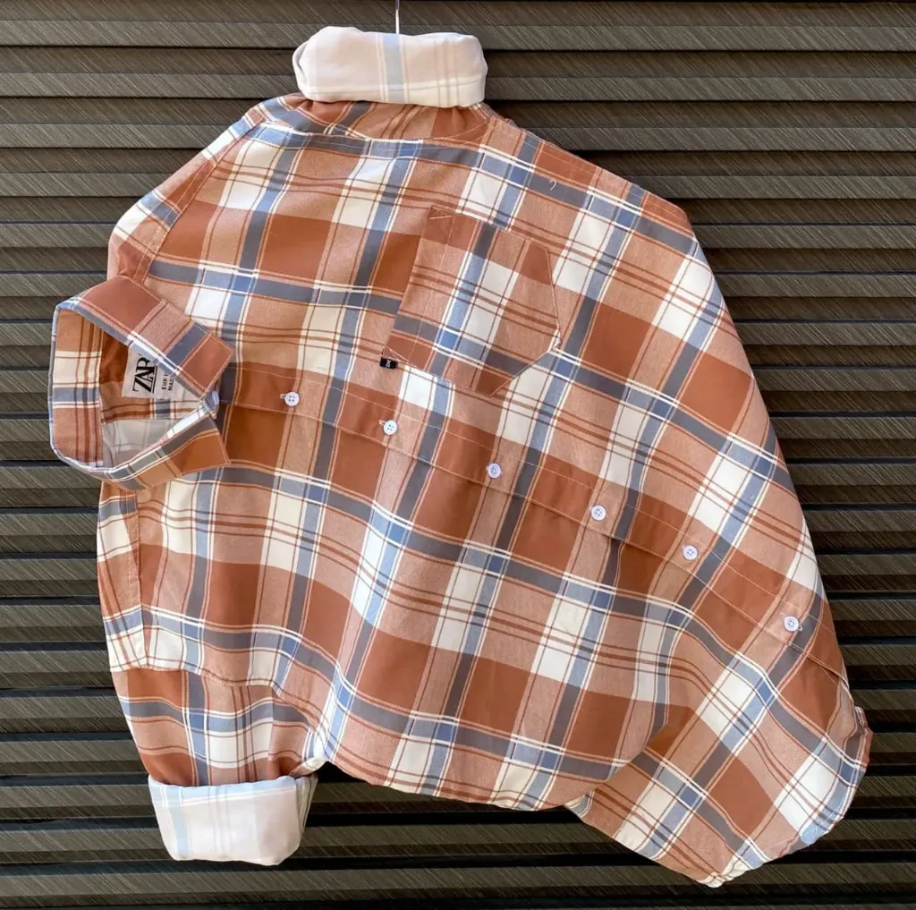 Zara Check Shirt